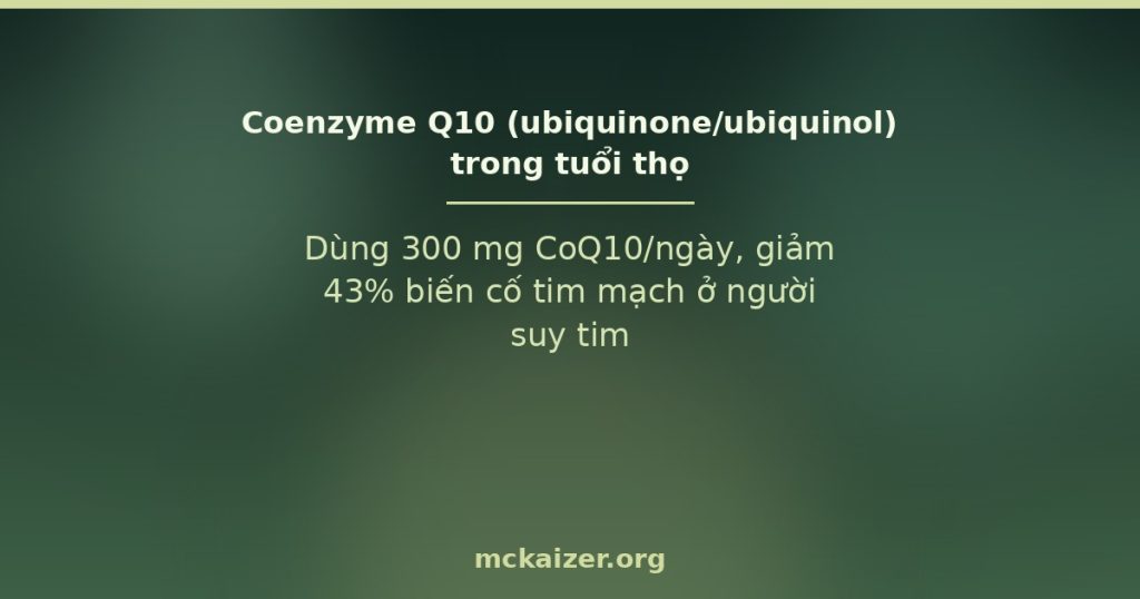 Coenzyme Q10 (CoQ10) — bằng chứng tim mạch và tuổi thọ