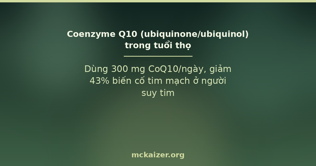 Coenzyme Q10 (CoQ10) — bằng chứng tim mạch và tuổi thọ
