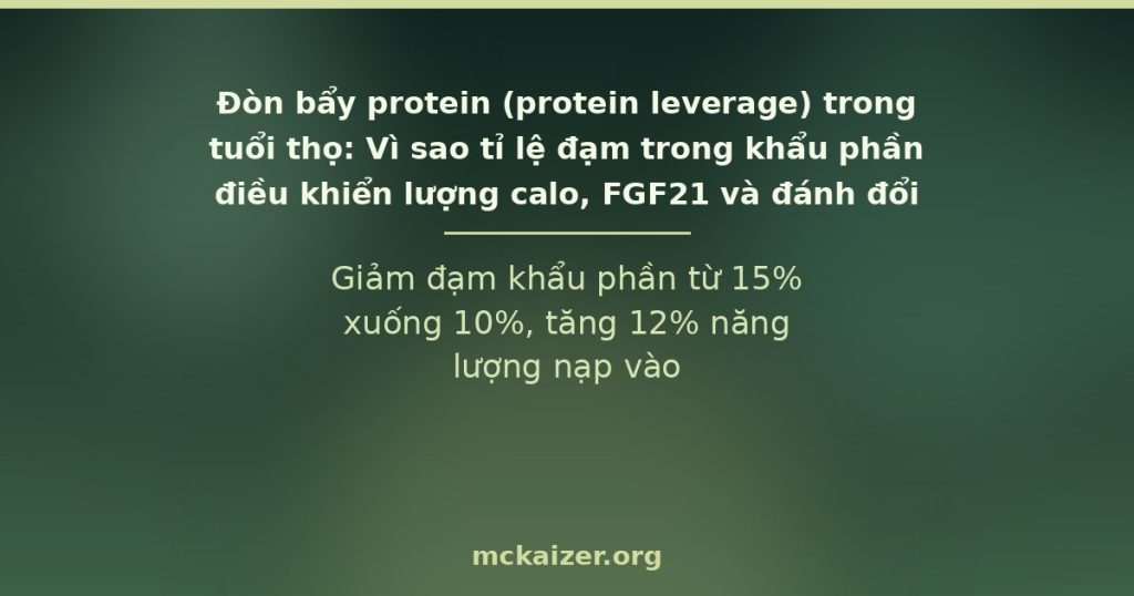 Giảm đạm khẩu phần từ 15% xuống 10%, tăng 12% năng lượng nạp vào
