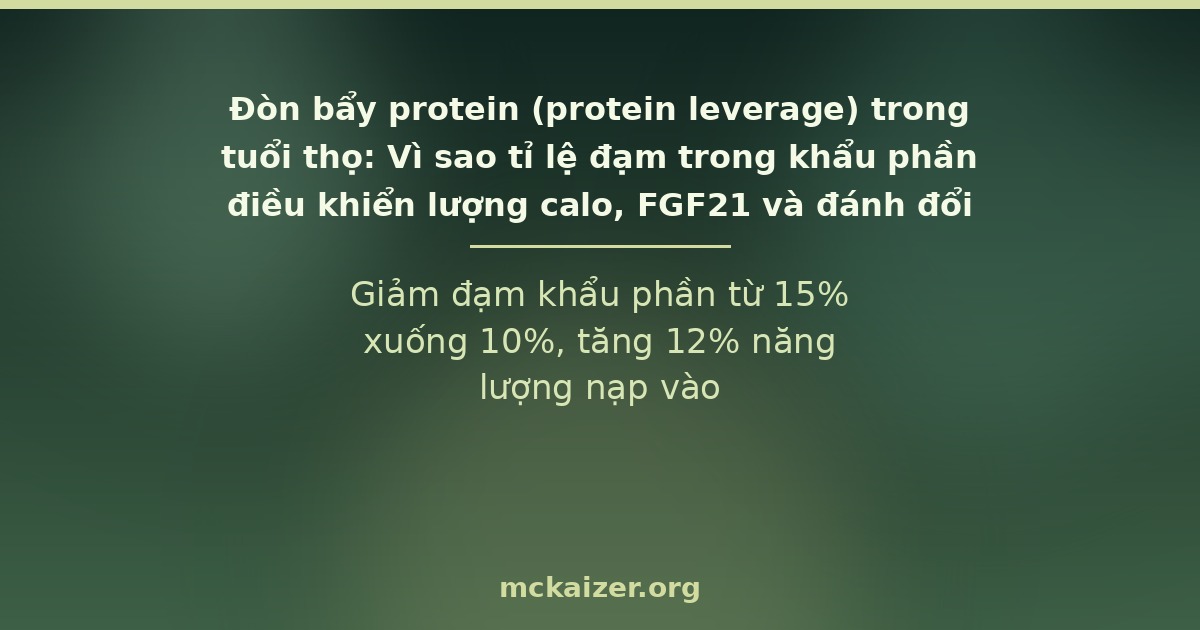 Giảm đạm khẩu phần từ 15% xuống 10%, tăng 12% năng lượng nạp vào