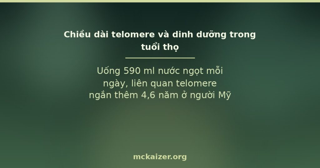 Uống 590 ml nước ngọt mỗi ngày, liên quan telomere ngắn thêm 4,6 năm ở người Mỹ