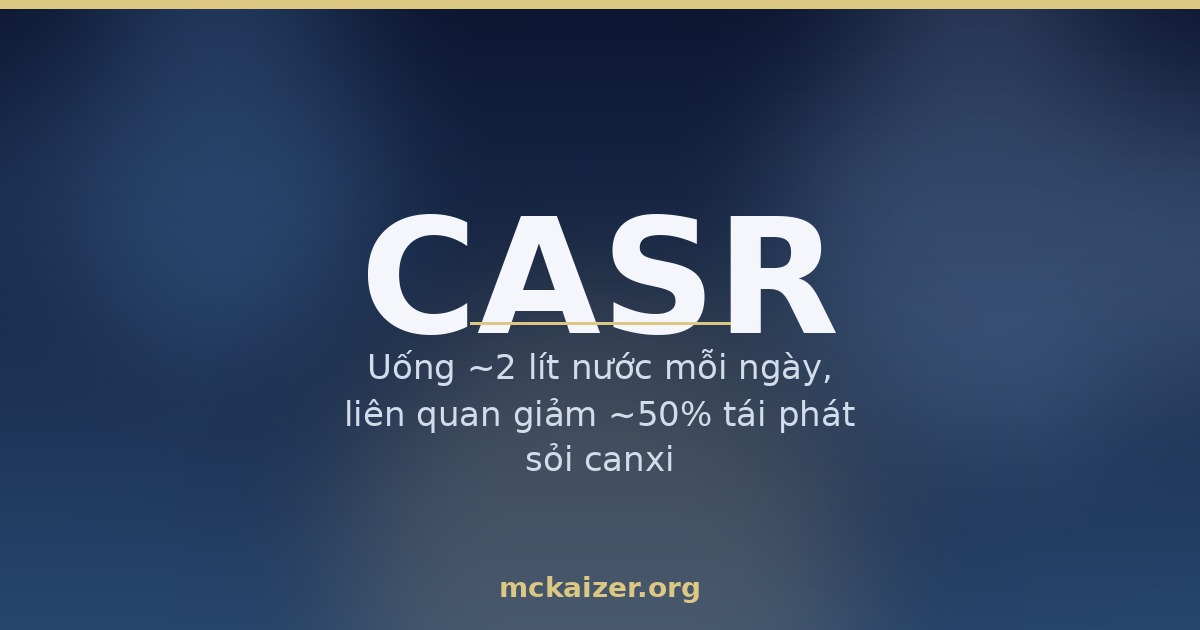 Gen CASR cảm biến canxi, sỏi thận và loãng xương ở người Việt