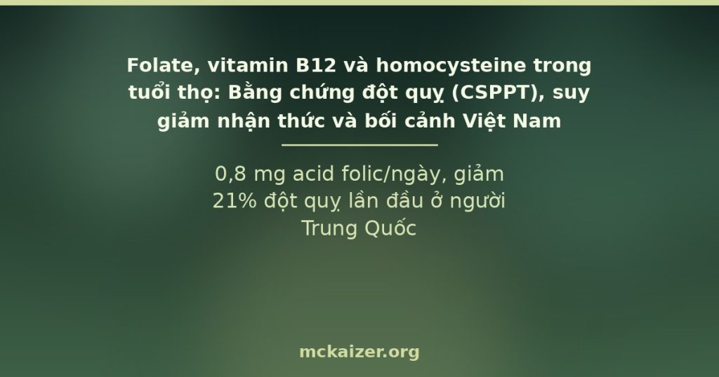 0,8 mg acid folic/ngày, giảm 21% đột quỵ lần đầu ở người Trung Quốc