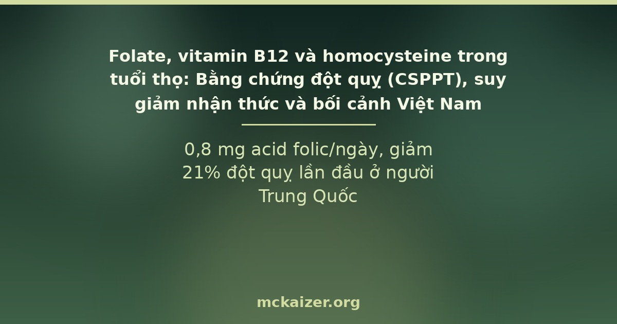 0,8 mg acid folic/ngày, giảm 21% đột quỵ lần đầu ở người Trung Quốc
