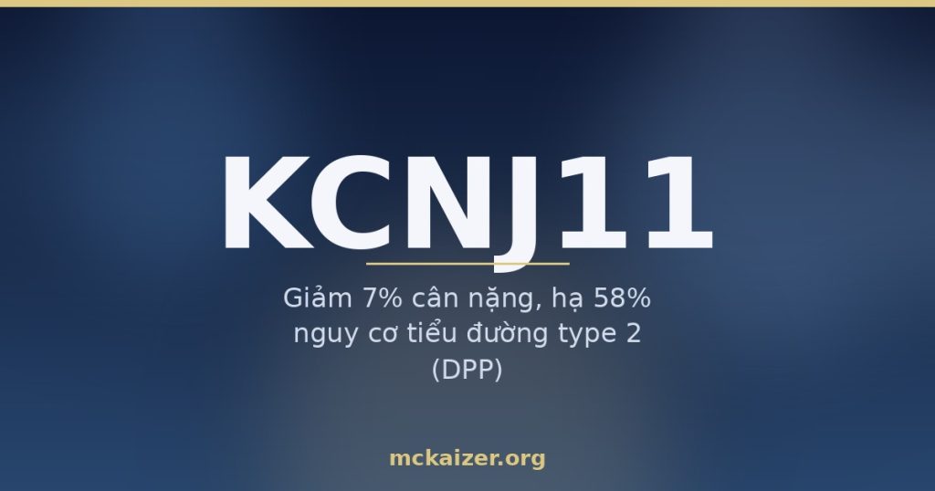 Gen KCNJ11 (Kir6.2, E23K), kênh kali và tiết insulin – người Việt