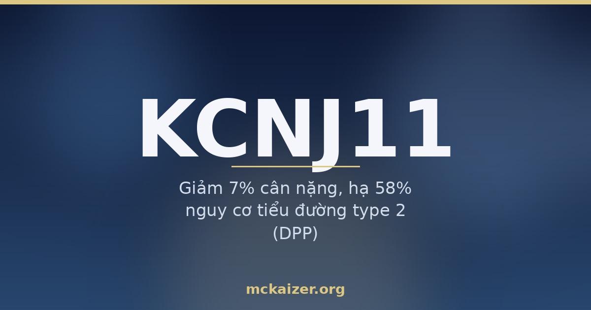 Gen KCNJ11 (Kir6.2, E23K), kênh kali và tiết insulin – người Việt