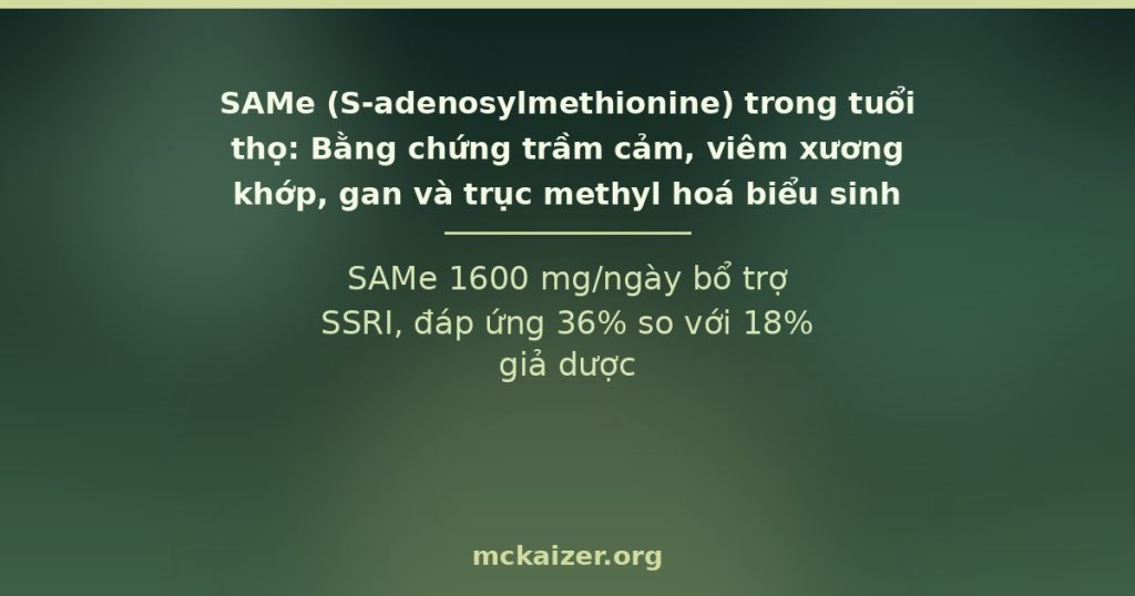 SAMe 1600 mg/ngày bổ trợ SSRI, đáp ứng 36% so với 18% giả dược
