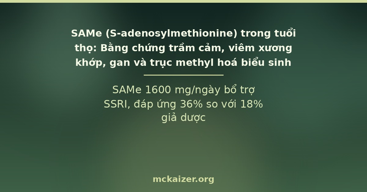 SAMe 1600 mg/ngày bổ trợ SSRI, đáp ứng 36% so với 18% giả dược