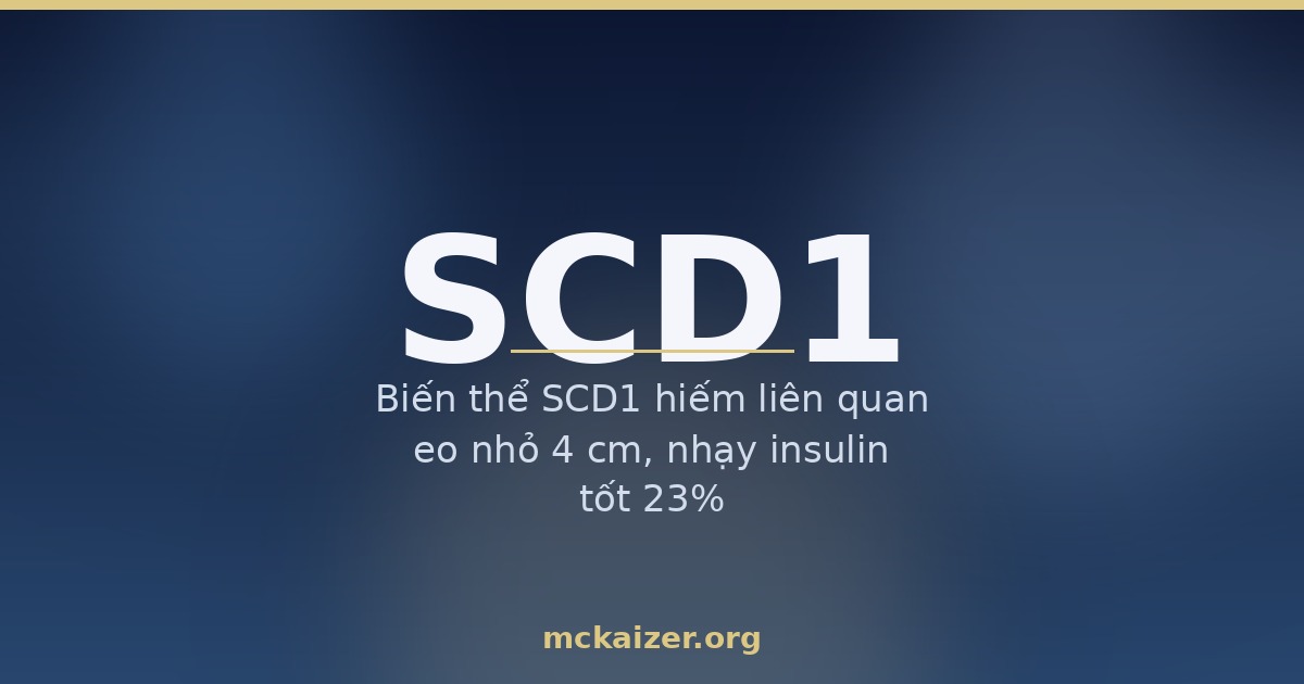 Gen SCD1 (stearoyl-CoA desaturase) và chuyển hoá chất béo, gan nhiễm mỡ người Việt