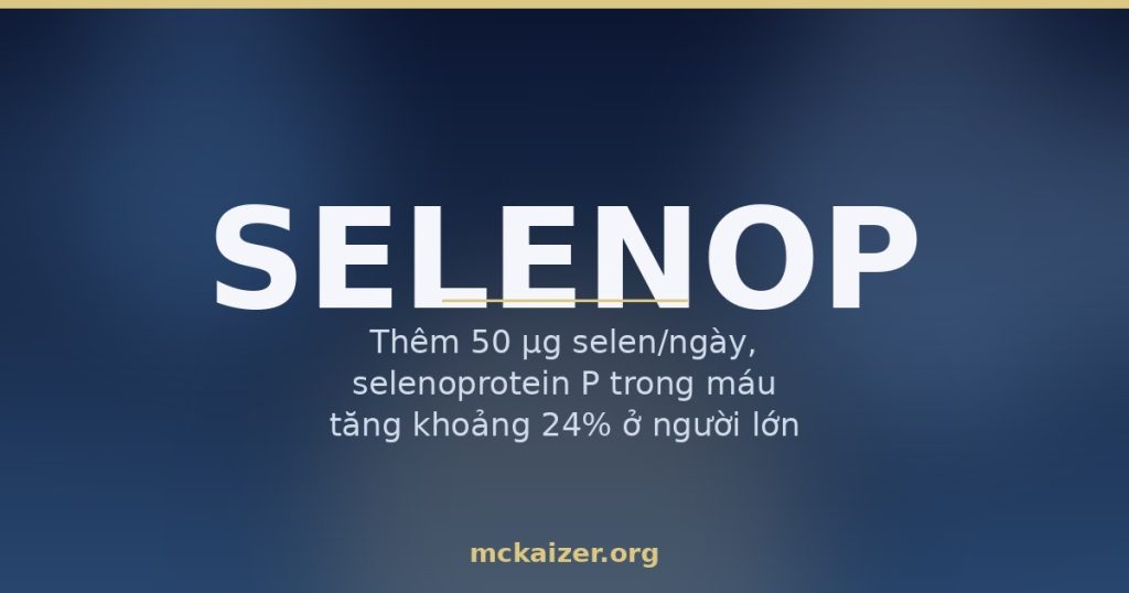 Minh hoạ gen SELENOP và selenoprotein P vận chuyển selen