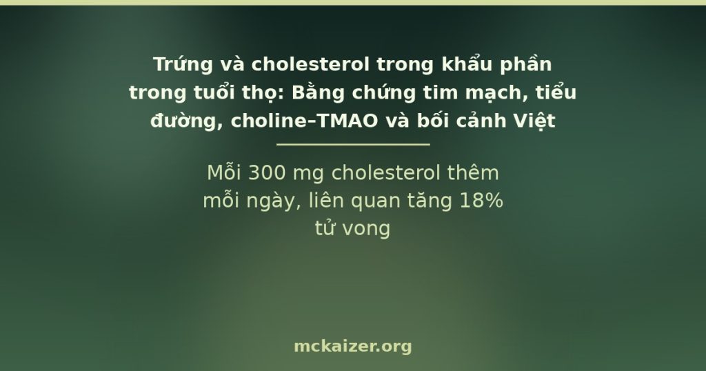 Mỗi 300 mg cholesterol thêm mỗi ngày, liên quan tăng 18% tử vong
