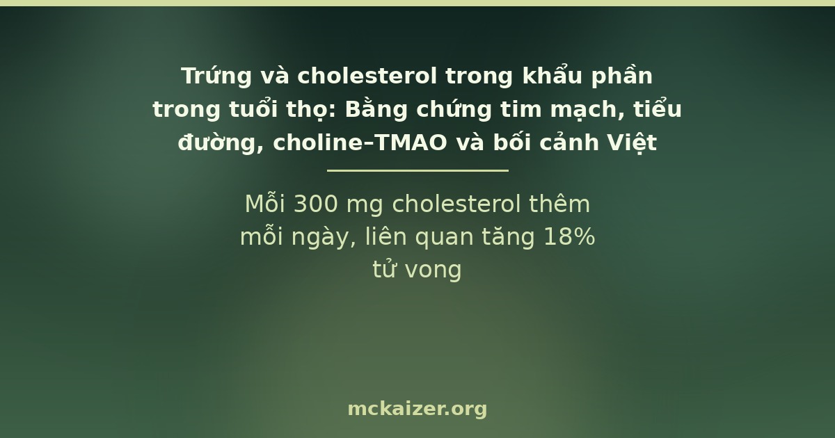 Mỗi 300 mg cholesterol thêm mỗi ngày, liên quan tăng 18% tử vong