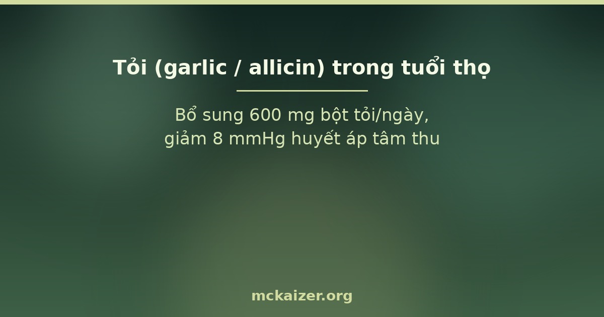 Bổ sung 600 mg bột tỏi/ngày, giảm 8 mmHg huyết áp tâm thu