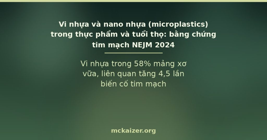 Vi nhựa trong 58% mảng xơ vữa, liên quan tăng 4,5 lần biến cố tim mạch