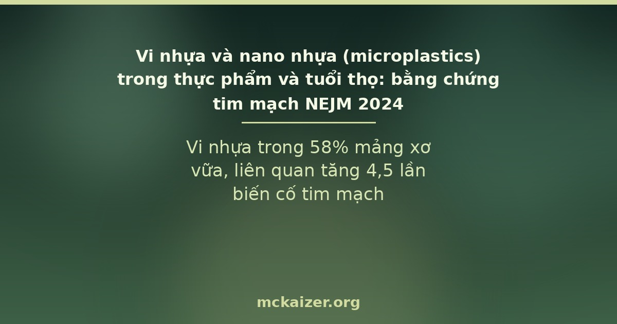 Vi nhựa trong 58% mảng xơ vữa, liên quan tăng 4,5 lần biến cố tim mạch