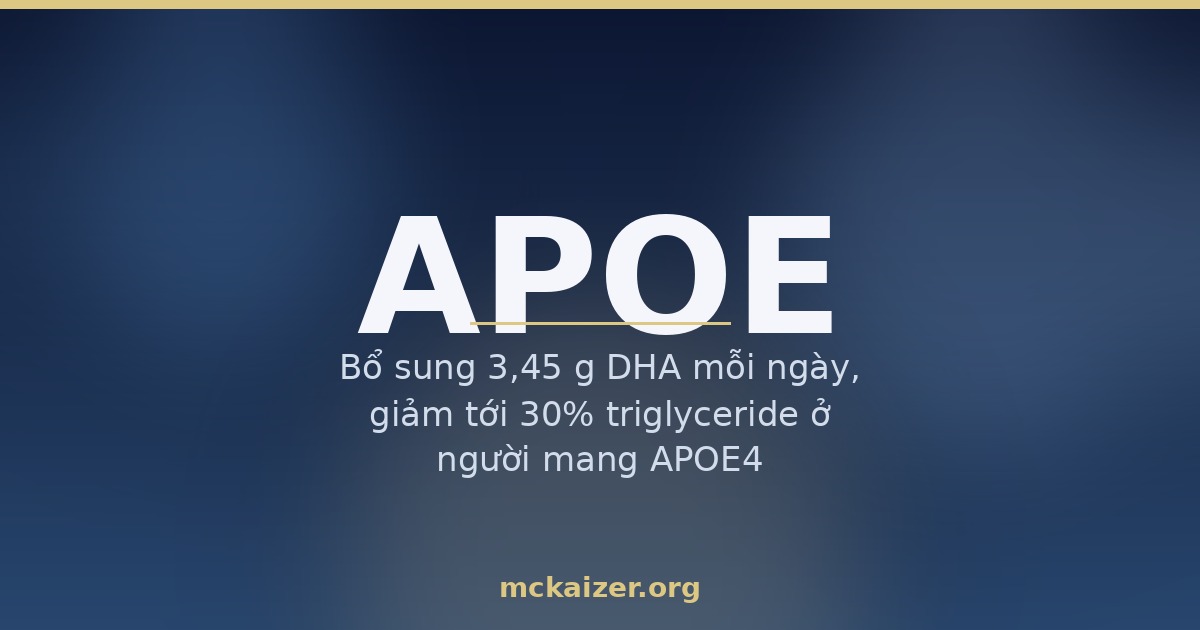 Gen APOE, chất béo bão hoà, cholesterol và sức khoẻ não người Việt