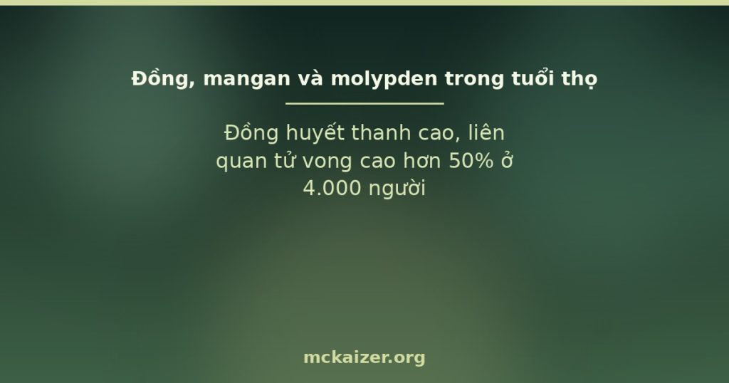 Đồng, mangan và molypden — vi khoáng vết trong tuổi thọ