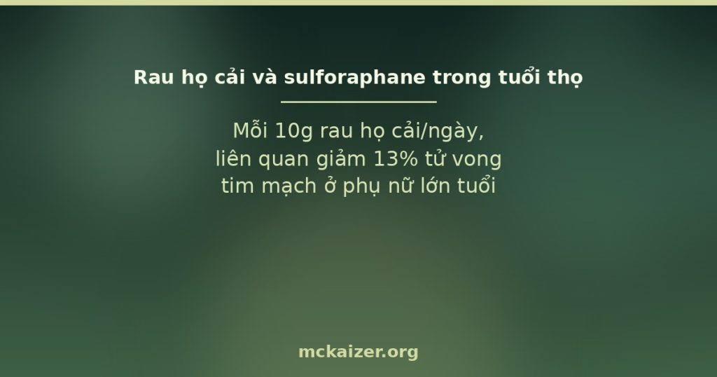 Mỗi 10g rau họ cải/ngày, liên quan giảm 13% tử vong tim mạch ở phụ nữ lớn tuổi