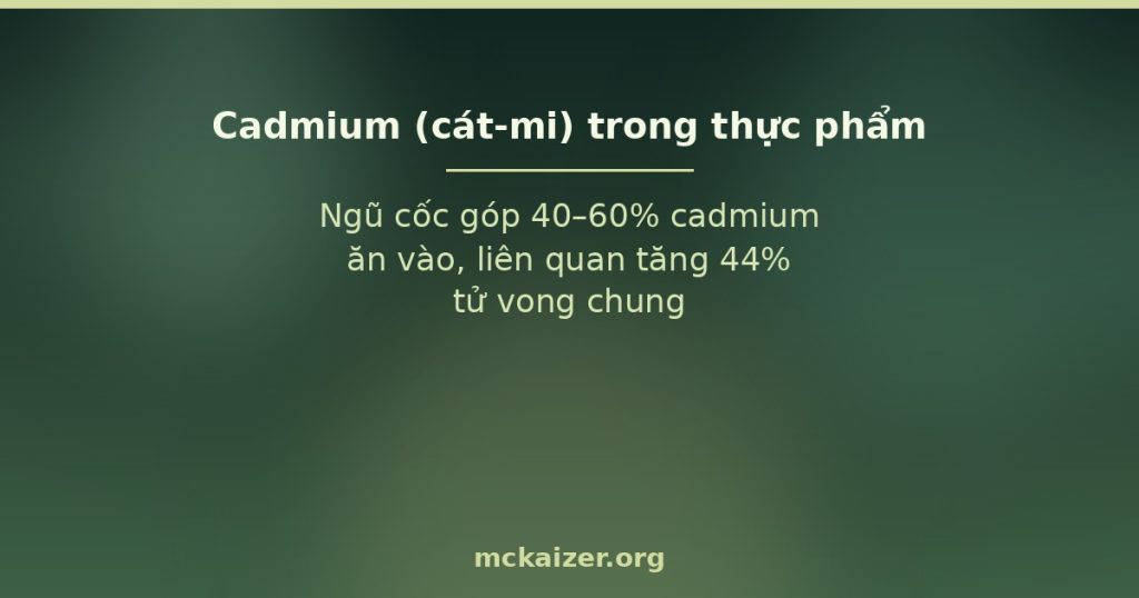 Ngũ cốc góp 40–60% cadmium ăn vào, liên quan tăng 44% tử vong chung