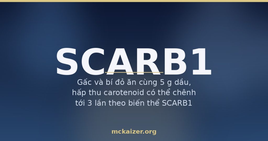 Gen SCARB1 SR-BI hấp thu carotenoid và HDL ở người Việt