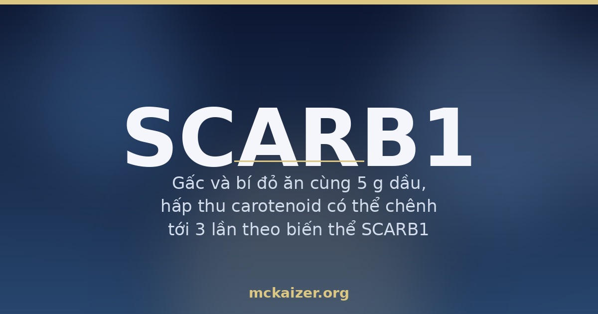 Gen SCARB1 SR-BI hấp thu carotenoid và HDL ở người Việt