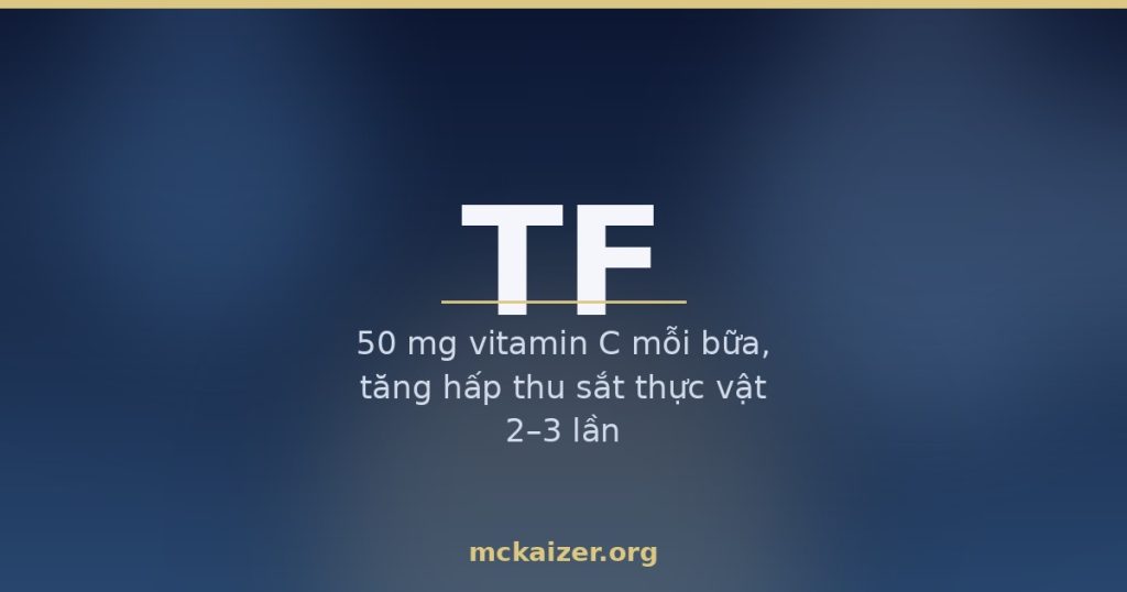 Minh họa gen TF transferrin vận chuyển sắt, vai trò vitamin C và trà