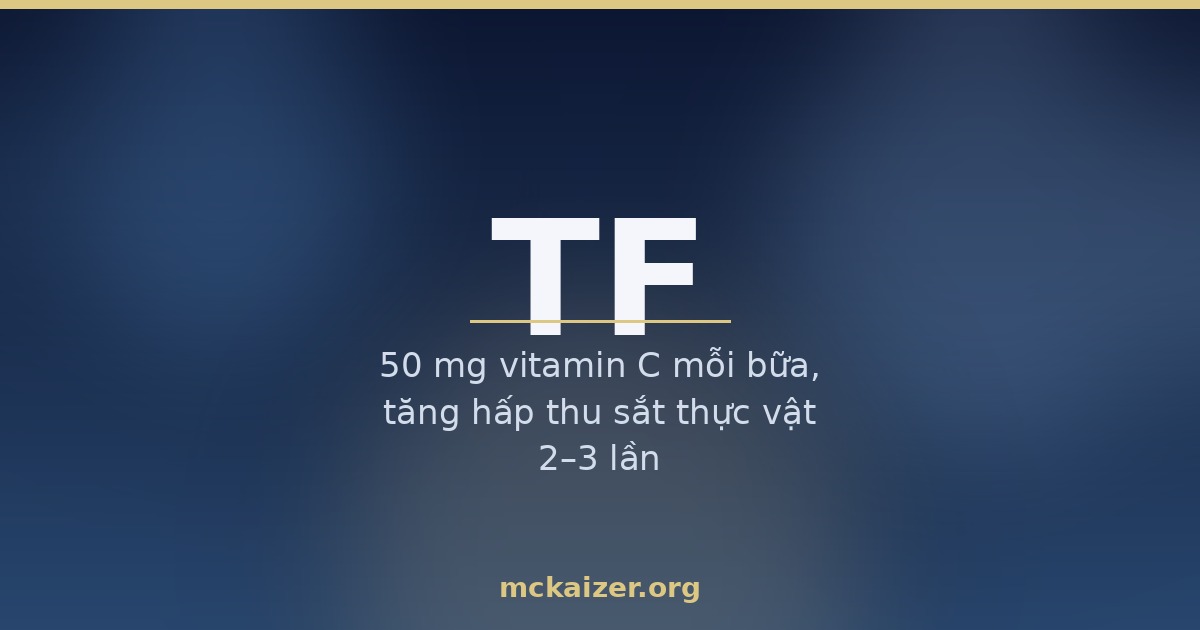 Minh họa gen TF transferrin vận chuyển sắt, vai trò vitamin C và trà