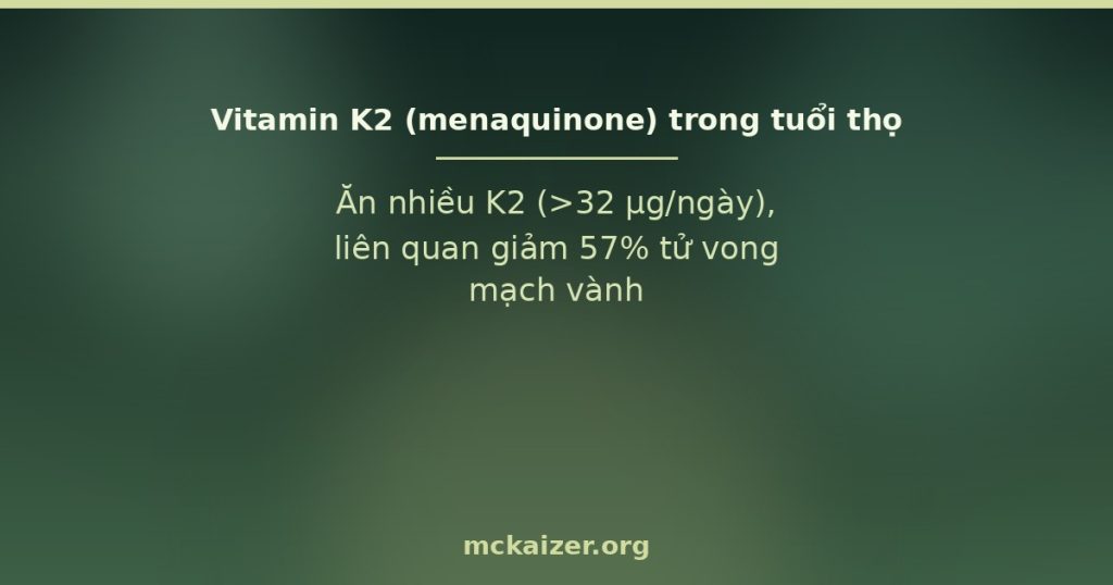Vitamin K2 menaquinone MK-7 natto vôi hoá động mạch loãng xương