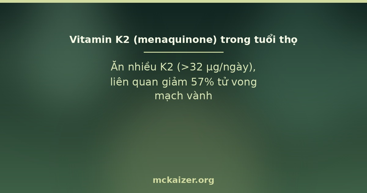 Vitamin K2 menaquinone MK-7 natto vôi hoá động mạch loãng xương