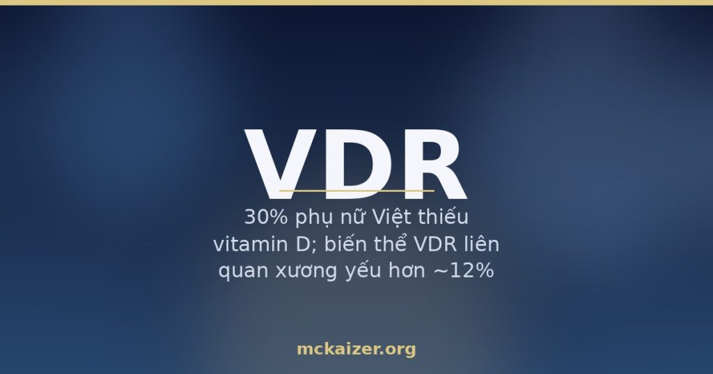 Gen VDR, vitamin D và mật độ xương ở người Việt