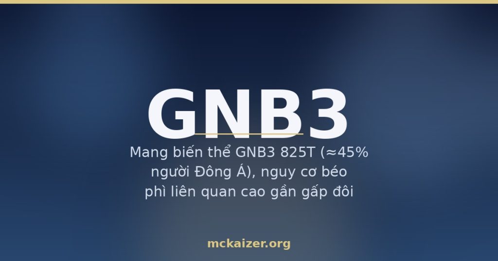 Minh hoạ gen GNB3 C825T, muối và cân nặng ở người Việt