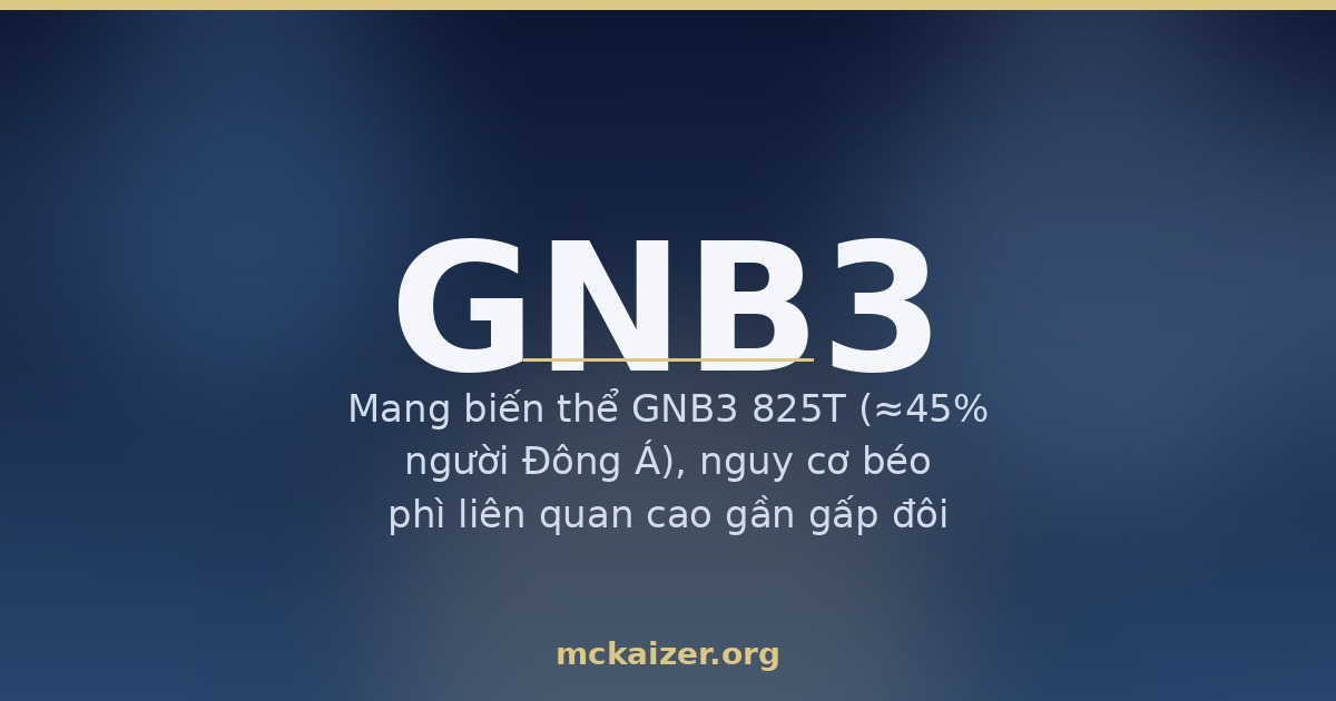 Minh hoạ gen GNB3 C825T, muối và cân nặng ở người Việt