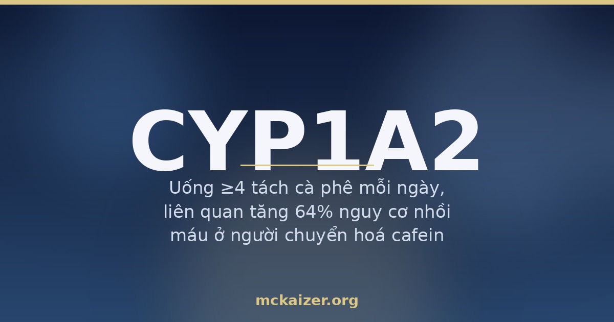 Gen CYP1A2 và chuyển hoá cafein, cà phê, nguy cơ tim mạch ở người Việt