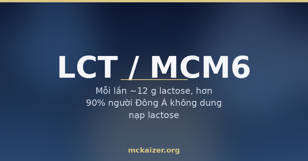 Gen LCT/MCM6, sữa và đường lactose — hơn 90% người Đông Á giảm men lactase