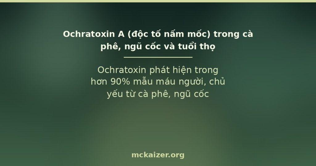 Ochratoxin phát hiện trong hơn 90% mẫu máu người, chủ yếu từ cà phê, ngũ cốc