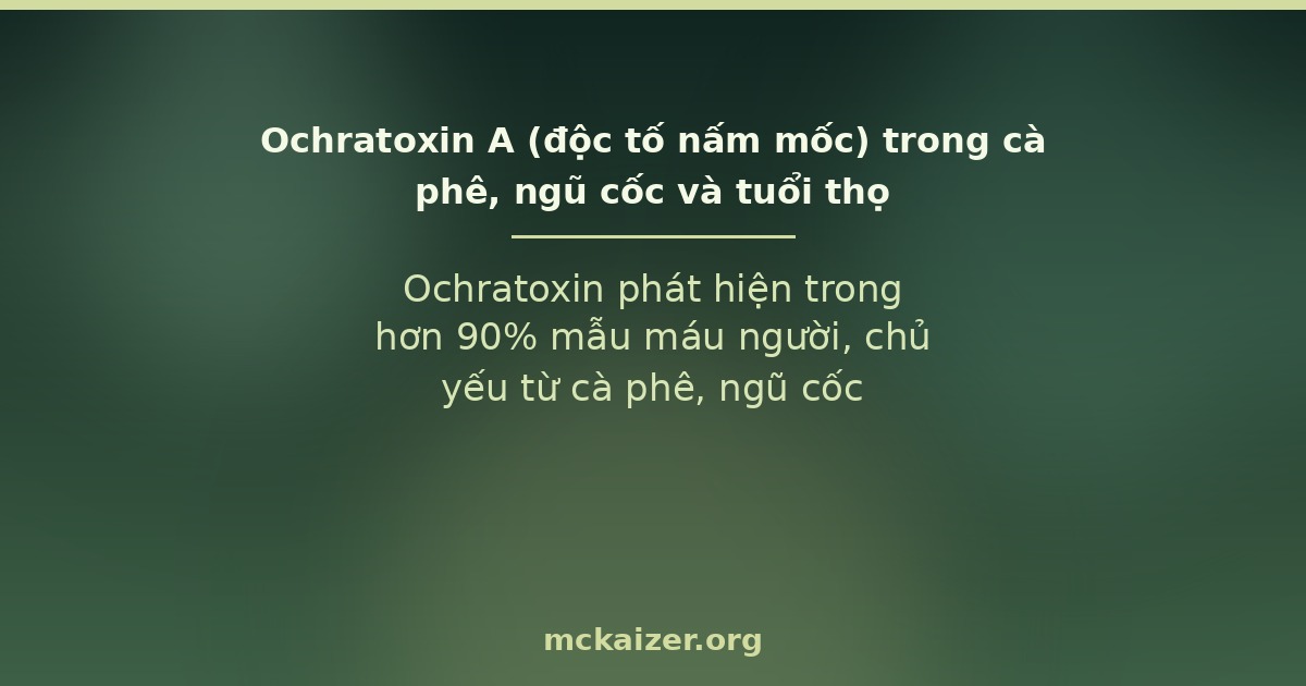 Ochratoxin phát hiện trong hơn 90% mẫu máu người, chủ yếu từ cà phê, ngũ cốc