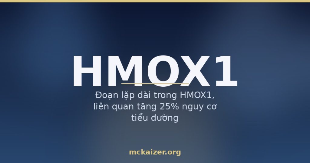 Gen HMOX1, HO-1, chống oxy hoá — Đoạn lặp dài trong HMOX1, liên quan tăng 25% nguy cơ tiểu đường