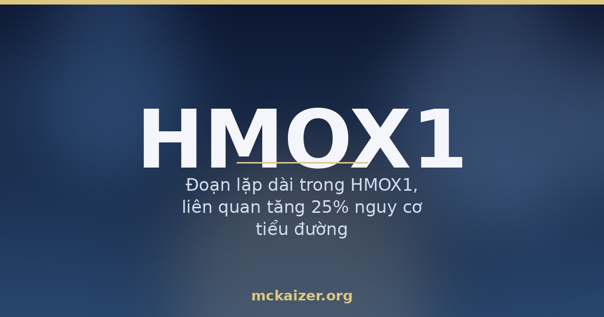 Gen HMOX1, HO-1, chống oxy hoá — Đoạn lặp dài trong HMOX1, liên quan tăng 25% nguy cơ tiểu đường