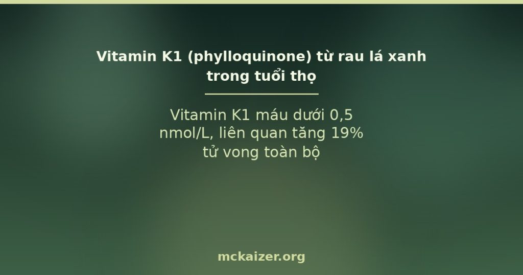 Vitamin K1 máu dưới 0,5 nmol/L, liên quan tăng 19% tử vong toàn bộ.