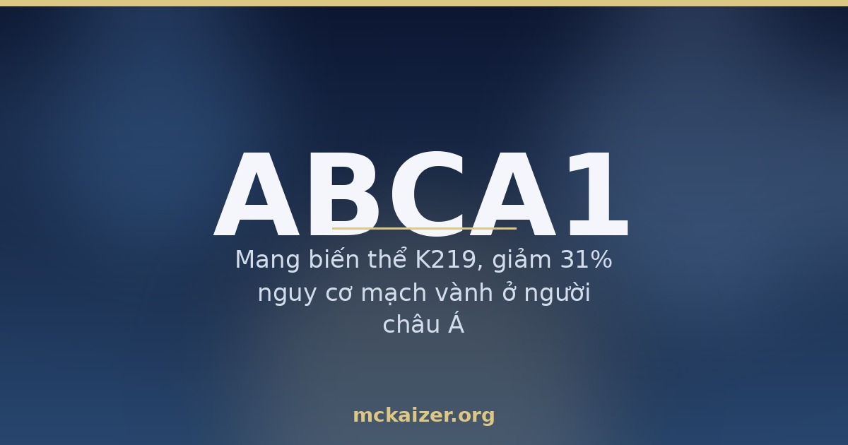 Minh hoạ gen ABCA1, HDL cholesterol tốt và chế độ ăn người Việt