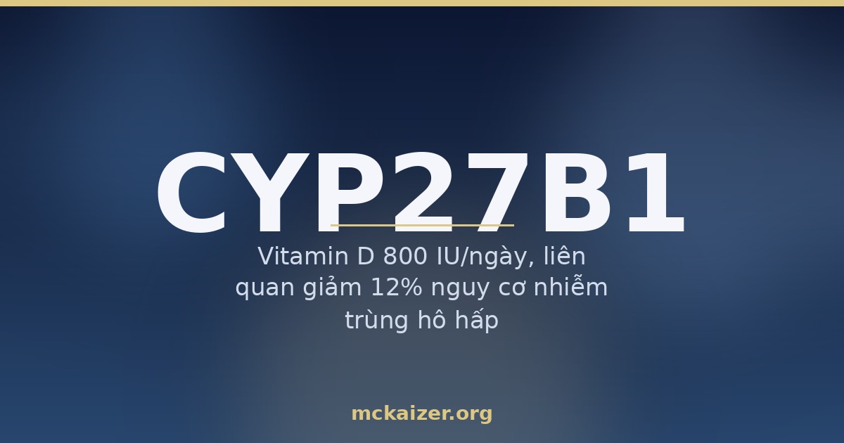 Gen CYP27B1: enzyme hoạt hoá vitamin D và vai trò của magiê, canxi