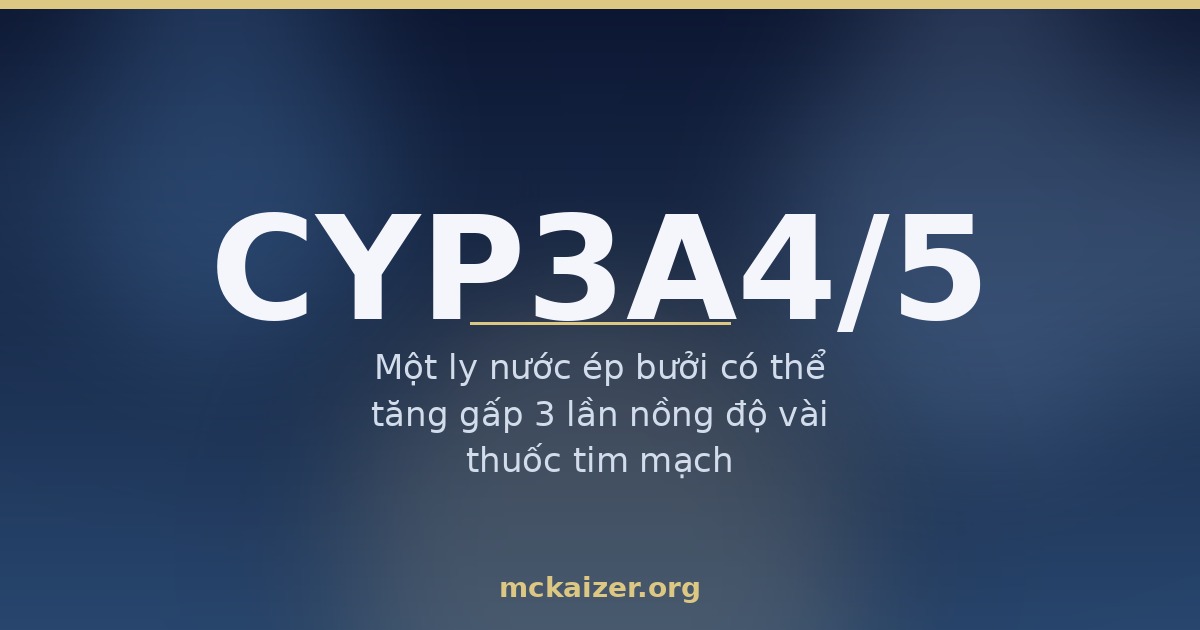 Minh hoạ gen CYP3A4 và CYP3A5, quả bưởi và tương tác với thuốc tim mạch ở người Việt