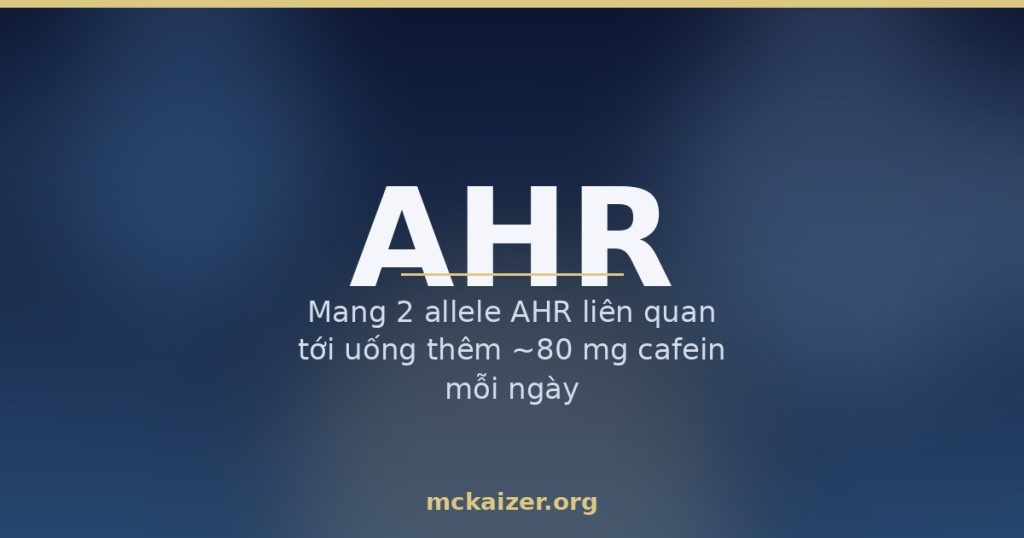 Gen AHR, cà phê và rau họ cải ở người Việt