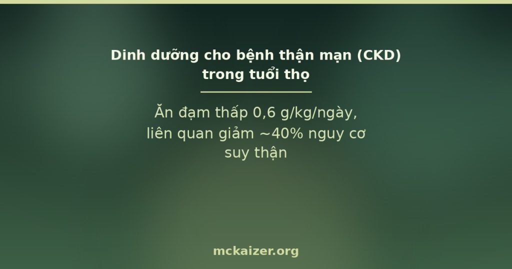 Ăn đạm thấp 0,6 g/kg/ngày, liên quan giảm ~40% nguy cơ suy thận ở người bệnh thận mạn.