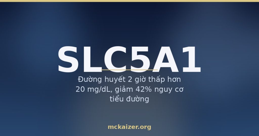Gen SLC5A1 (SGLT1) và hấp thu glucose ở ruột người Việt