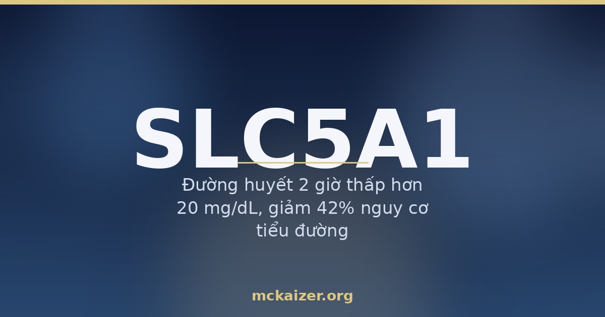 Gen SLC5A1 (SGLT1) và hấp thu glucose ở ruột người Việt