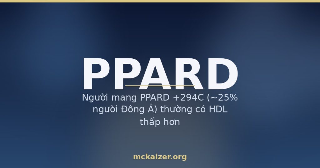Gen PPARD PPAR delta, vận động và chất béo, mỡ máu HDL người Việt