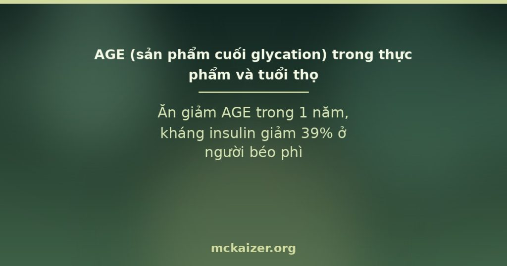 Ăn giảm AGE trong 1 năm, kháng insulin giảm 39% ở người béo phì