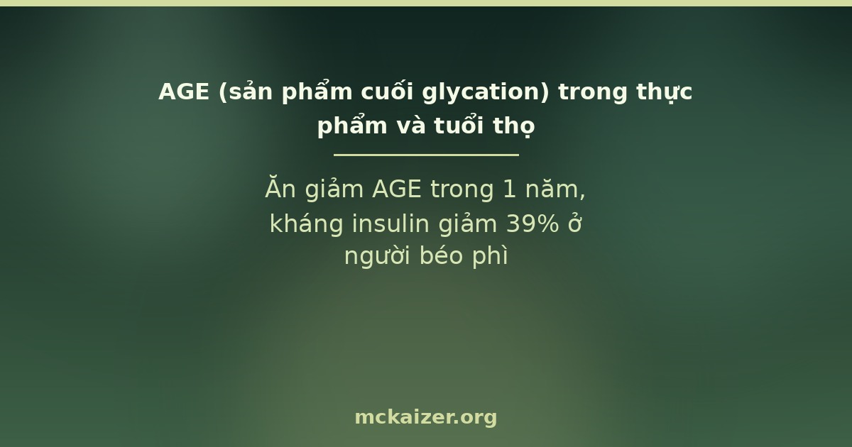 Ăn giảm AGE trong 1 năm, kháng insulin giảm 39% ở người béo phì