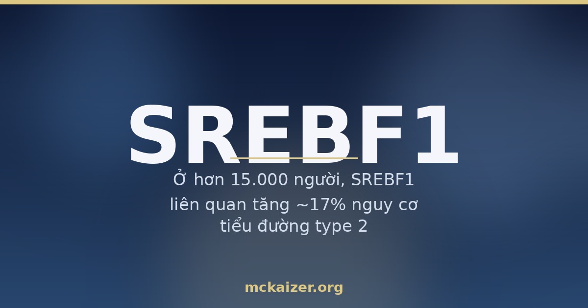 Gen SREBF1 (SREBP-1c), cơm trắng, gan nhiễm mỡ và mỡ máu ở người Việt